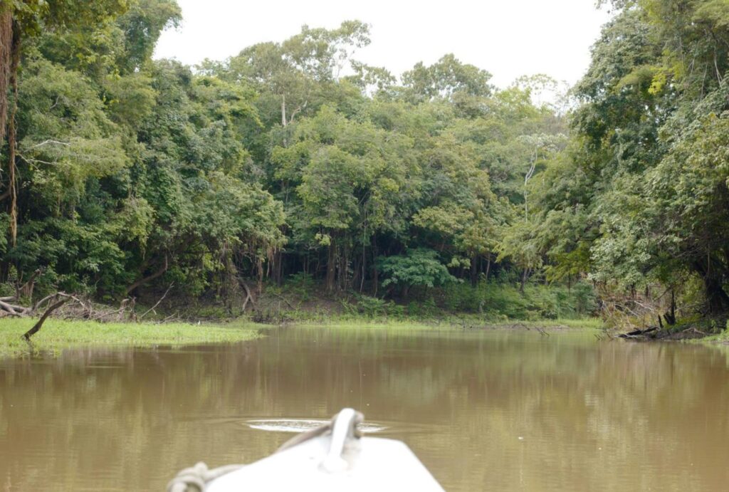 Bootstour auf einem Nebenfluss des Amazonas