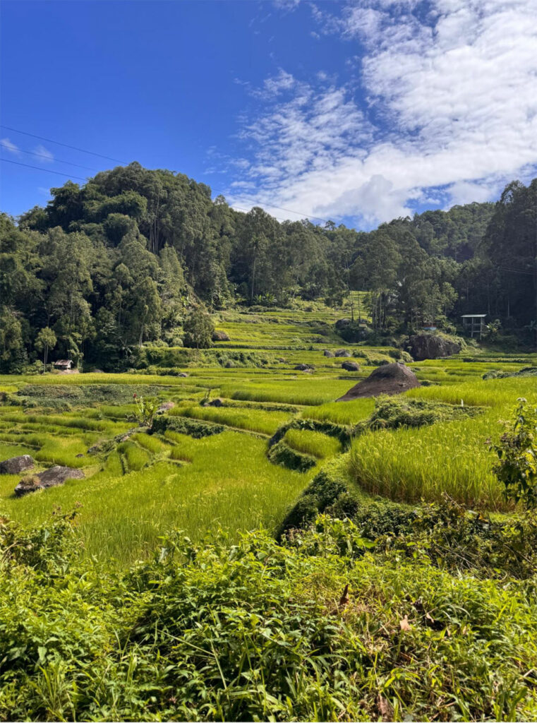 Toraja