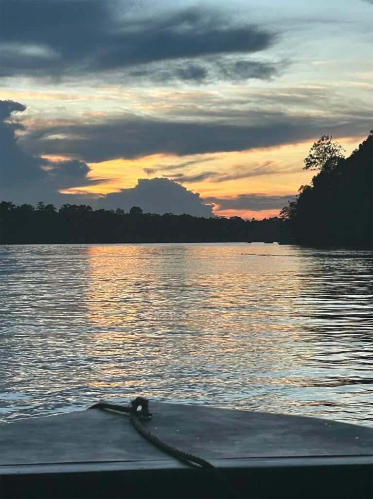 Kinabatangan-Fluss, Borneo