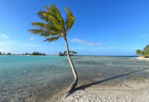 Reisetherapeutisches… Reisetherapeutisches