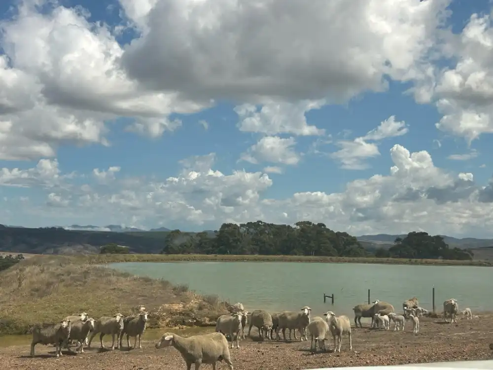Landsmeterskoop Farm, Paardeberg